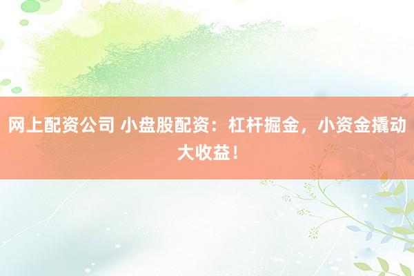 网上配资公司 小盘股配资：杠杆掘金，小资金撬动大收益！