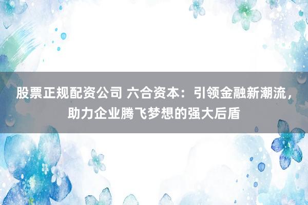 股票正规配资公司 六合资本：引领金融新潮流，助力企业腾飞梦想的强大后盾