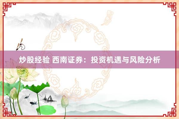 炒股经验 西南证券：投资机遇与风险分析