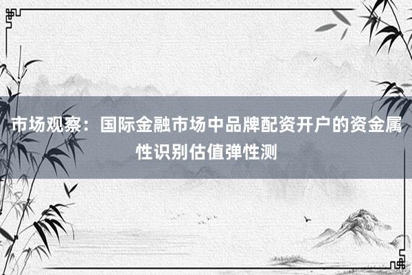 市场观察：国际金融市场中品牌配资开户的资金属性识别估值弹性测