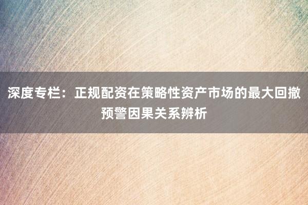 深度专栏：正规配资在策略性资产市场的最大回撤预警因果关系辨析