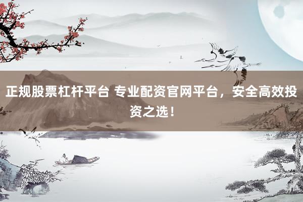 正规股票杠杆平台 专业配资官网平台，安全高效投资之选！