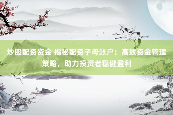 炒股配资资金 揭秘配资子母账户：高效资金管理策略，助力投资者稳健盈利