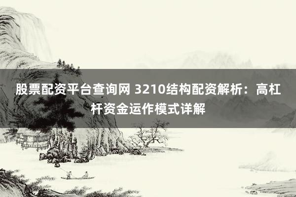 股票配资平台查询网 3210结构配资解析：高杠杆资金运作模式详解