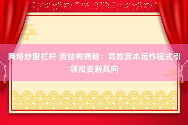 网络炒股杠杆 资结构揭秘：高效资本运作模式引领投资新风向