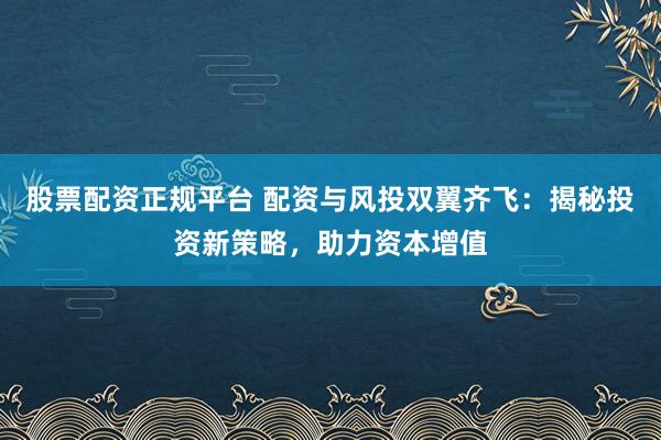 股票配资正规平台 配资与风投双翼齐飞：揭秘投资新策略，助力资本增值